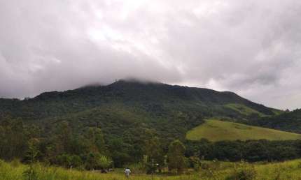 Fazenda 70 Alqueires, 23 Alqueires em Pasto, 10 Alqueires em Pinus com 10 Anos, 2 Alqueires em Pinus com 2 Anos, Casa Sede, Boa de Água