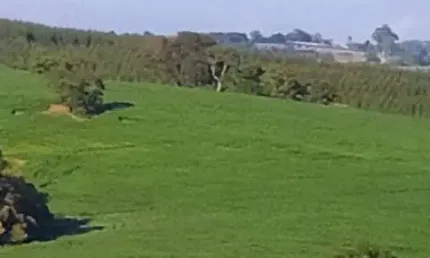 Fazenda 100 Alqueires, 35 Alqueires em Área Plantada, Planta-se Mais 30 Alqueires, Topografia Ótima, Terra Mista, Rica em Água com Lagos e Nascente