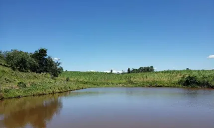 Sítio 23 Alqueires, Rico em Água com Lago com Peixes, Fácil Acesso, Ótima Localização, 80% Aproveitavel, Topografia Boa, Terra Mista