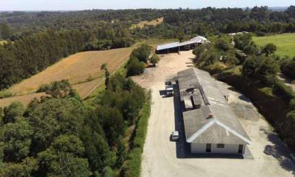 Frigorifico completo 700m2, capacidade de 300 toneladas por mês,cameras frias, reservatórios de água, escritórios, 1 casa 260m2 com piscina, 4 canis,