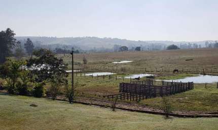 Sítio 5 Alqueires, Rica em Água com 10 Tanques com Peixes, 3 Casas, Barracão, Horta, Restaurante, Ótima Localização, Curral, Campo de Futebol