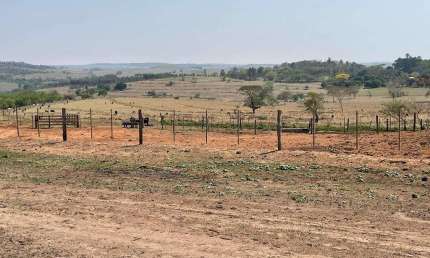 Fazenda 276 Alqueires, Rica em Água com 3 Represas, Acesso Asfaltado, Formada na Pecuária, Casa de Caseiro, 10 Divisões de Pasto, Cerca Aroeira