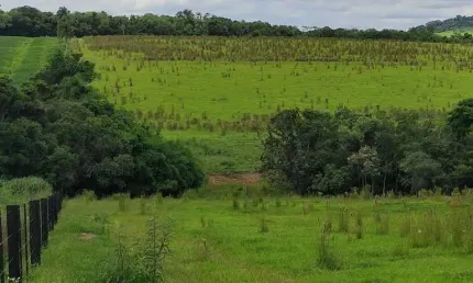 Chácara 2 Alqueires, Água Corrente no Fundo da Propriedade, Fácil Acesso, Casa Simples com 3 Dormitórios, Barracão, Mangueira de Repartição