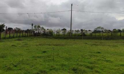 Chácara 11000m2, Área Boa Para Loteamento, Localização Nobre, 500 Metros do Asfalto, Casa Sede, Campo de Futebol, Galpão