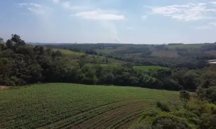 Sítio 8 alqueires, rica em água com lagos, nascentes e ribeirão, 6 alqueires para agricultura, casa sede, casa de caseiro, curral, área de lazer