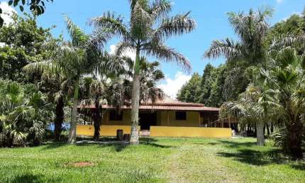 Sítio 6,5 Alqueires, Rica em Água com 3 Lagos, 2 Casas Boas, Casa de Caseiro, Área de Lazer com Churrasqueira, Galpão, Pomar e Horta, Pasto Amplo