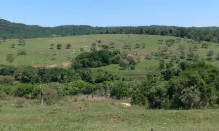 Chácara 60.000m2, Rica em Água com Nascentes na Propriedade, Sem Benfeitorias, Ótima Localização
