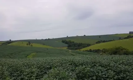 Fazenda 213 Alqueires, Dupla Aptidão, Topografia Plana, Rica em Água com Nascentes, Aproveitamento de 85%, Casa Sede, Casa Caseiro, Curral, Galpão