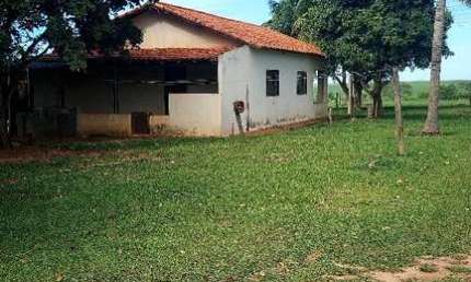 Fazenda Pecuária 131 Alqueires   Aproveitamento 110 Alqueires para Cana  Estimativa de 48 Toneladas Conforme a Usina Raízen   Rica em Água   Margeia 2