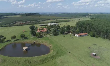 Fazenda 97 Alqueires, Boa de Água com Várias Nascentes e Lago, Casa Sede Com + de 1.000m², 4 Suítes, Despensa, 3 Casas Caseiro, 3 Barracõs, Curral