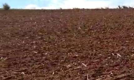 Fazenda 42 Alqueires, Bom de Água, Planta 35 Alqueires, Topografia Plana, Solo de Terra Mista Roxa