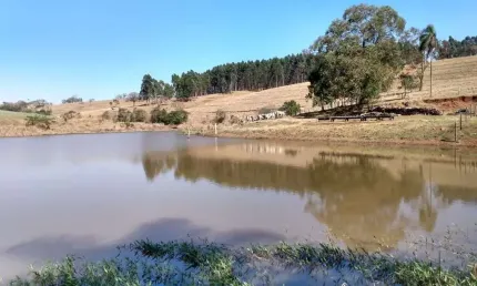 Sítio 25 Alqueires, 5 Alqueires com Eucalipto, Bom de Água, Lago, Terra Vermelha, Casa pra Caseiro