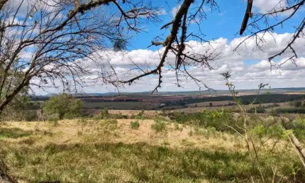 Chácara 1,4 Alqueires, Casa Sede Simples, Ótima Localização, Área Verde, Quartinho Com Espaço de Ordenha