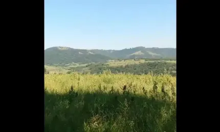 Sítio 12 Alqueires, Bom de Água, Córrego e Nascente Dentro da Propriedade, Casa Simples, Lago