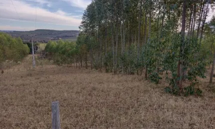 Sitio 5 Alqueires Tem 3 Alqueires Em Eucalipto, 13 km Do Centro da Cidade de Angatuba SP, Não Tem Casa, Pequena Água Corrente No Fundo do Sítio