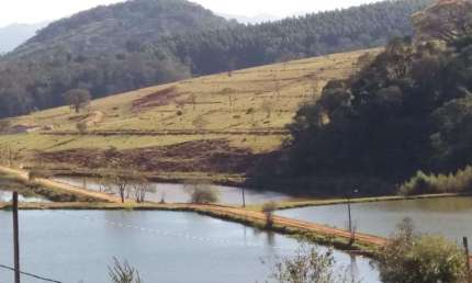 Fazenda 96 Alqueires, Rica Em Agua, Nascentes e Represas, Margem do Asfalto Casa Sede, Casa Colono, Tripla aptidão:Agrícola,Pecuária e Piscicultura