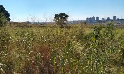 Terreno 3000m2 Plano,Bem Localizado Bom P/Condomínio de Sobradinhos Aceita Permuta Fisica em Torno de 20% do VGV