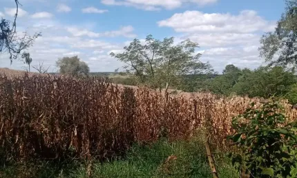 Oportunidade única: Sitio à venda em Angatuba-SP, Zona Rural, 1 quarto, 1 banheiro, 205.700,00 m² de área.