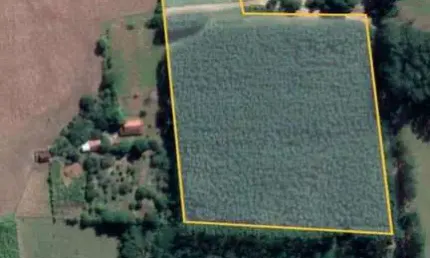 Chacara 1,1/2 alqueires plano( sem casa),c/agua nascente e corrego no fundo,2 1/2 do asfalto,plantado eucalipto brotos ainda