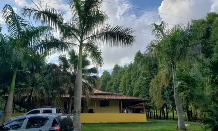 Sítio 6,5 Alqueires Terra Mista,Boa p/Criação de Gado, Casa Sede 150m2 Avarandada 3 Dorms,Sala,Cozinha,2 Banheiros,Casa de Caseiro,