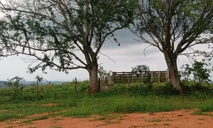 Sítio com 12 Alqueires ótimo para criação de gado... 7 km d Asfalto, 28 km d ANGATUBA,  não tem casa, localização muito boa... (Leve ondulado)
