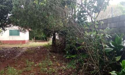 Chácara 1,1/2 Alqueire 36000m2 Casa Simples,100mts do Asfalto,37 Km de Itapetininga,Localização Nobre