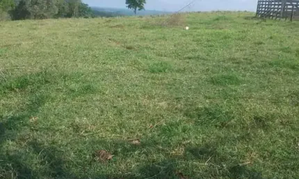Sitio 12 Alqueires FORMADA NO PASTO  BOA TOPOGRAFIA TERRA DE CULTURA RIBEIRÃO AO FUNDO  NÃO TEM BENFEITORIAS, APENAS TERRA  7 KM DA RAPOSO TAVARES 22