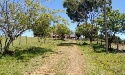 Sítio 6 Alqueires em Angatuba SP, oportunidade... Com 2 casas sede e caseiro... Sede 4 Quartos 3 wc, cozinha Sala copa lavanderia garagem para até 3 veículos, barracão de trato e leiteira  com picadei