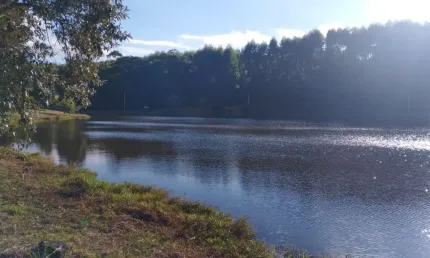 Um lindo sítio  de 32 alqueires em pilar do sul ,+ou _ a 10 km da cidade e a 4 km do asfalto,  com uma área 15 alqueires  em eucaliptos, 10 alqueires em agricultura  , 7 alqueires de preservação ambie