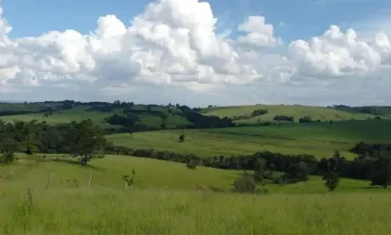 Sítio à 30 minutos de Tatuí  Terras com topografia plana e irregular, agricultáveis nas culturas de cana-de-açucar, milho, soja, hortalíças, pastagens, etc    Contém 3 nascente e 1 Ribeirão dentro das