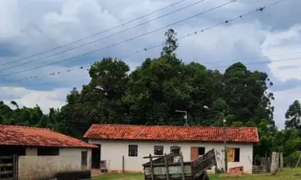 Excelente sítio a venda em itapetininga-sp ??   área total: 22 hectares ou 9,09 alqueires   em pasto: 7 alqueires   solo: misto a vermelho   topogra