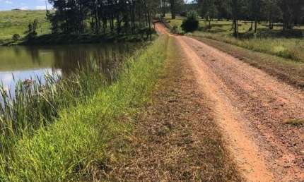 porteira fechada (área 53.00 alqueires) no município de São João da Boa VISTA SP. ? 120.000 pés de café 100% mecanizavel ( tratos culturais e colheit