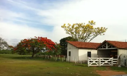 EXCELENTE FAZENDA A VENDA NA PECUÁRIA NA REGIÃO DE PRESIDENTE PRUDENTE - SP ??   Área Total: 390 Alqueires   Aptidão: Pecuária   Em Pastagem: 275 Alqueires  Restante: App, Reserva e Água   Solo: Argil