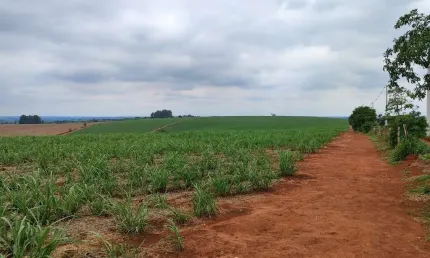 EXCELENTE FAZENDA A VENDA EM ITAPETININGA-SP ?? ?   Área Total: 42 Alqueires  Em Cana: 37 Alqueires    Restante: Reserva e App   Topografia: Plana a Levemente Ondulada   Solo: Vermelho e Misto   Hidro