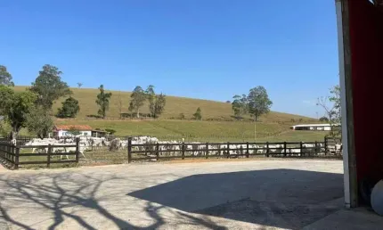 EXCELENTE FAZENDA A VENDA NO VALE DO PARAÍBA NO ESTADO DE SÃO PAULO-SP ??    Área Total: 330 Alqueires ou 800 Hectares   90% Formada e Tratoravel   Agricultura: Plantação de Milho, Capim Braquiárião, 