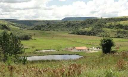FAZENDA A VENDA NA REGIÃO DE BOTUCATU - SP ??   Aptidão: Pecuária de Corte   Área Total: 100 Alqueires  Pastagem: 75 Alqueires   Restante: Reserva, App e Água   Solo: Misto   Topografia: Ondulada e De