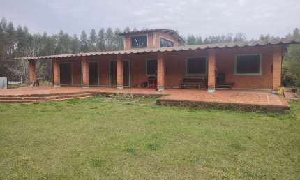 *FAZENDA COM EUCALIPTO A VENDA NA REGIÃO DE BOTUCATU - SP* ??   Área Total: 98,7 Alqueires ou 239 Hectares   Plantação de Eucalipto: 62 Alqueires ou 150 Hectares (Podendo aumentar para 8,2 ou 20 Hecta