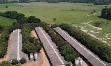 *EXCELENTE SÍTIO COM GRANJA A VENDA EM TATUÍ - SP* ??   Aptidão: Granja de Frango e Gado de Corte   Área Total: 16,52 Hectares ou 6,82 Alqueires   Aproveitamento: 90%   3 Aviáriosde 12x135 Em Funciona