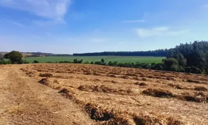 Sitio 5 alqueire em boituva a 4 km da cidade ,Rio no  fundo  excelente topografia  foi plantado cana  valor 2.000,000,00