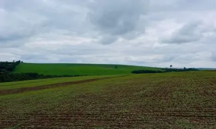 *excelente fazenda a venda em santa cruz do rio pardo - sp* ??   área total: 115 alqueires   área de plantio: 98 alqueires   topografia: plana e semi plana   solo: roxo e misto   hidrografia: 3 açudes