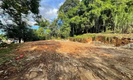 Terreno à venda na Rua Guarapuava, --, Floresta, Joinville