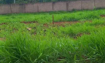 Terreno em Condomínio em Alto dos Caiçaras, Patos de Minas/MG