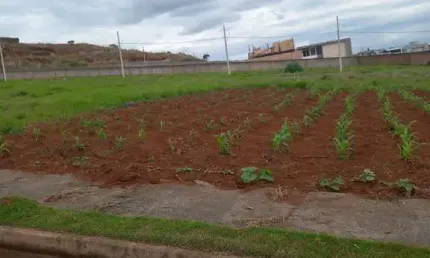 Lote à Venda com 364m² em Patos de Minas - Oportunidade Imperdível!