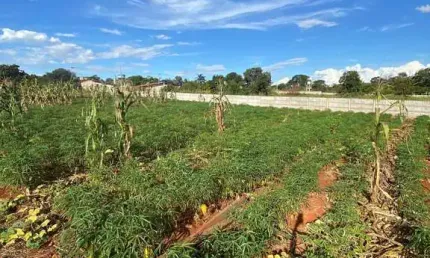 Terreno à venda na Área Rural de Patos de Minas, Patos de Minas 