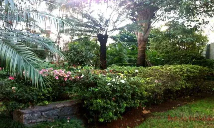 Apartamento com 3 dorms, Higienópolis, São Paulo - R$ 1.94 mi, Cod: 3214