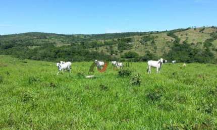 Fazenda à venda na Zona Rural, Nova Aurora 