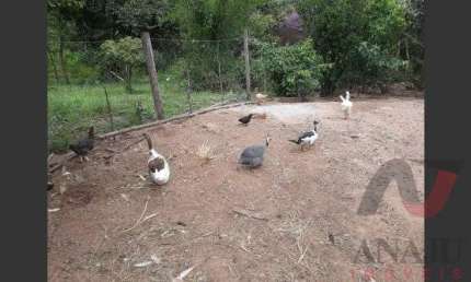 Fazenda à venda no Centro, Tambaú 