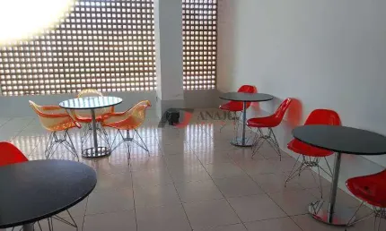 Apartamento Padrão Vila Monte Alegre, Ribeirão Preto - SP