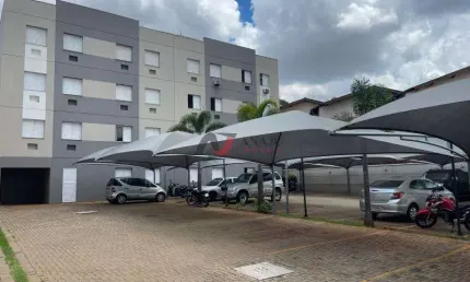 Apartamento Padrão Jardim Zara, Ribeirão Preto - SP
