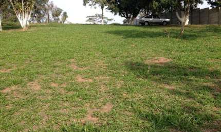 Terreno comercial à venda na Vila Guilherme, Santa Isabel-SP: 2.800m² de oportunidade imperdível!